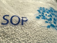 Калиев сулфат – гранулат | SOP 0-0-50