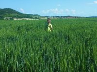 КропТур – сем. Маринови, с. Долно Ботево