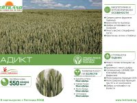 АДИКТ