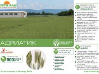 АДРИАТИК