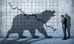 Торов пазар / 19.07.2024