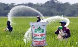 Торов пазар / 15.08.2024