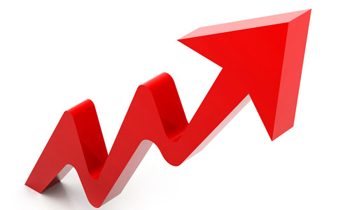 Торов пазар / 06.08.2024